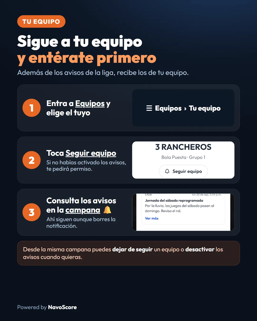 Guía para seguir a un equipo y consultar sus avisos en la campana del sitio